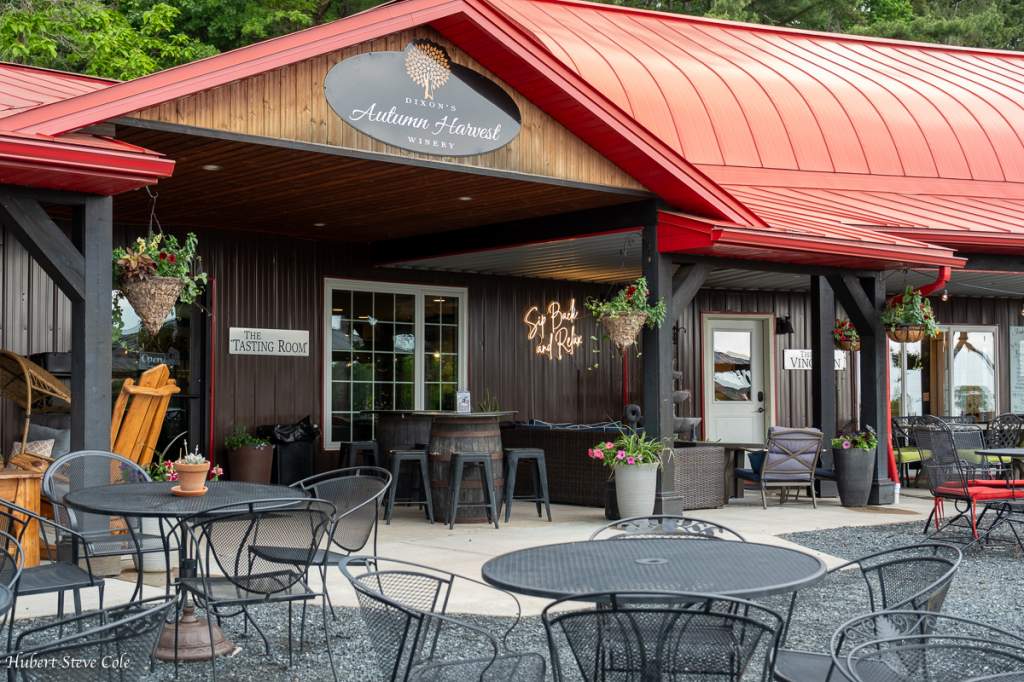 Picnic at Autumn Harvest Winery