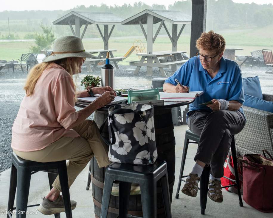 Urban Sketchers at the VAA Picnic